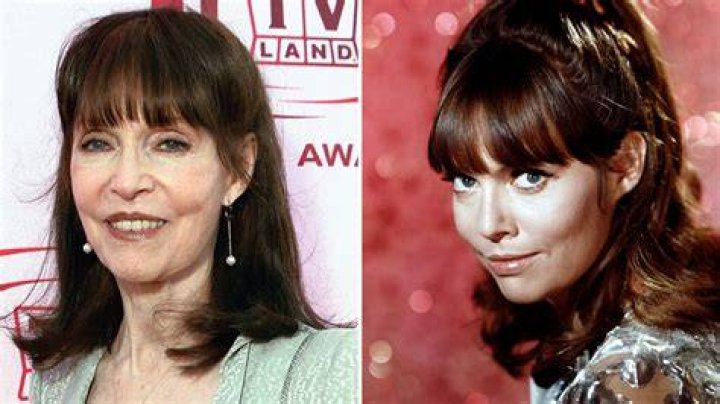 barbara-feldon