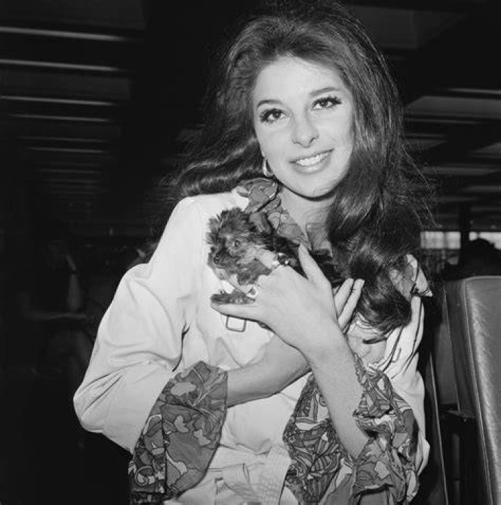Bobbie Michelle Net Worth