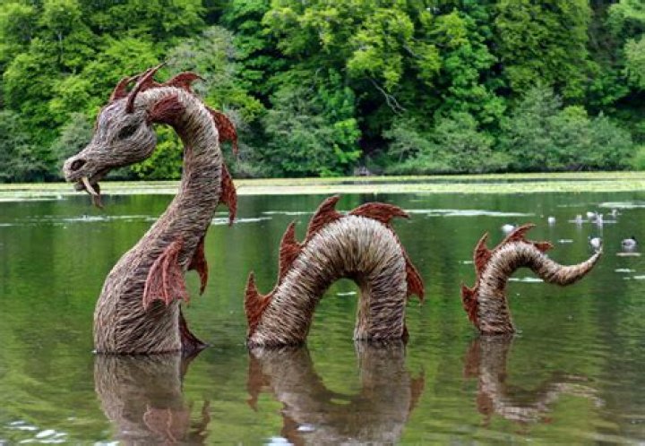 Do land creatures have abilities?