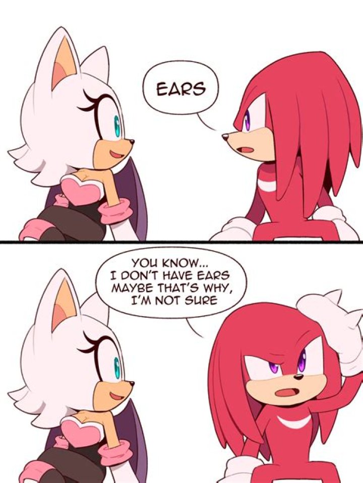 Does Knuckles the echidna like Rouge the bat?