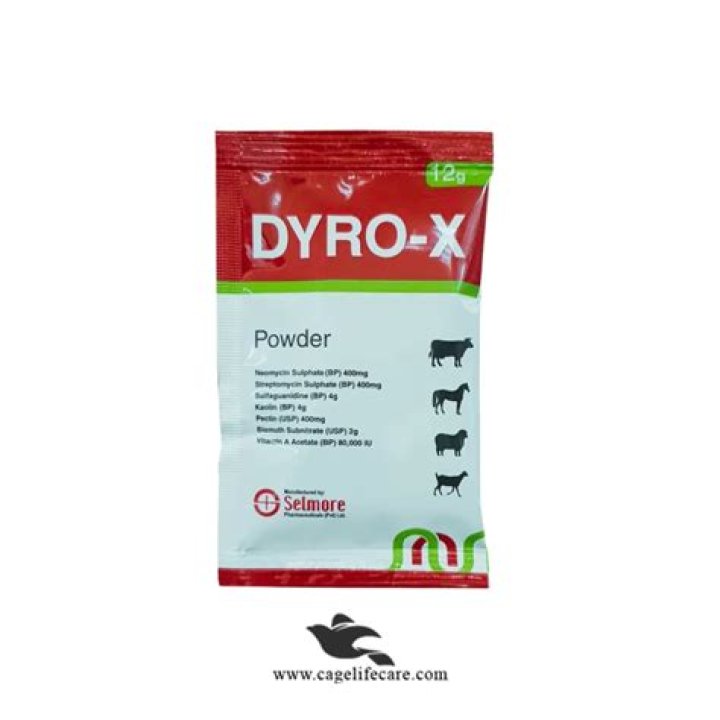Dyro