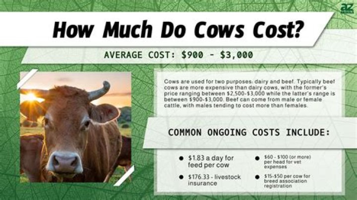 How much does it cost to make a Lego set?