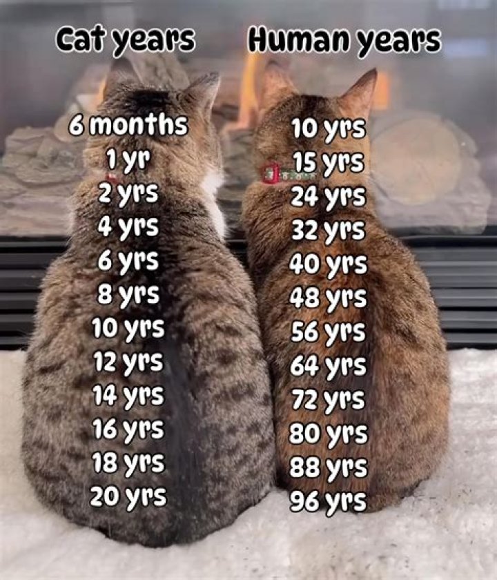 How old is Subeta?