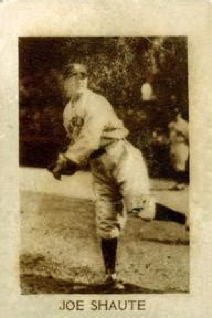 Joe Shaute