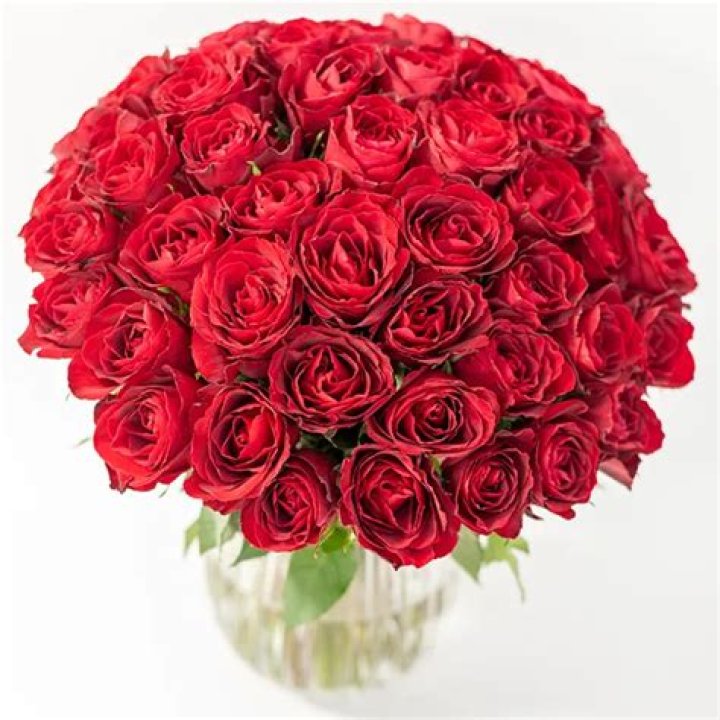 Kellie Siemons Rosen