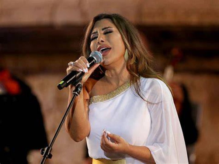 Najwa Karam Net Worth