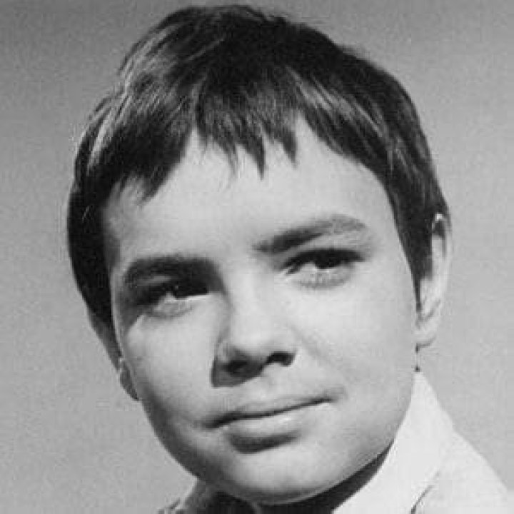 Stefan Arngrim Net Worth