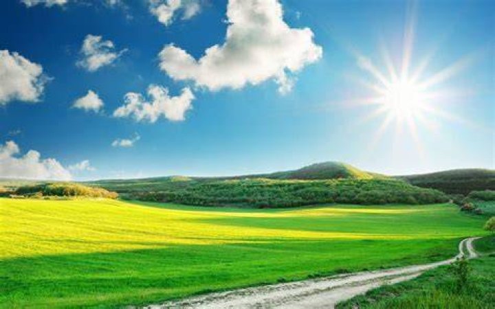 Sunny