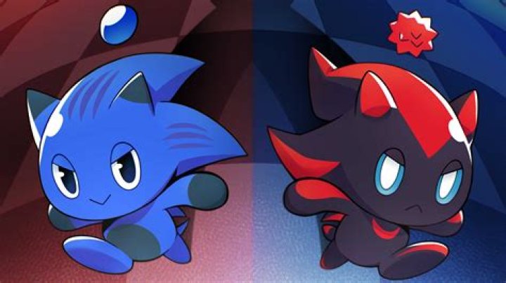 What do you do with a Chao egg?