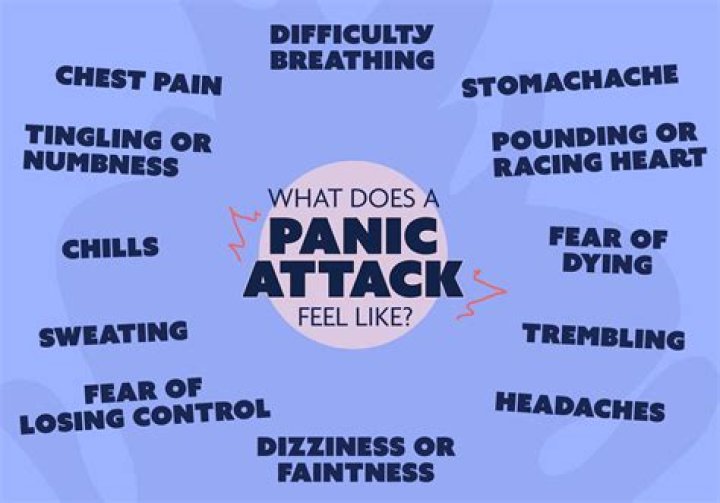 What does the panic card do in Bang?
