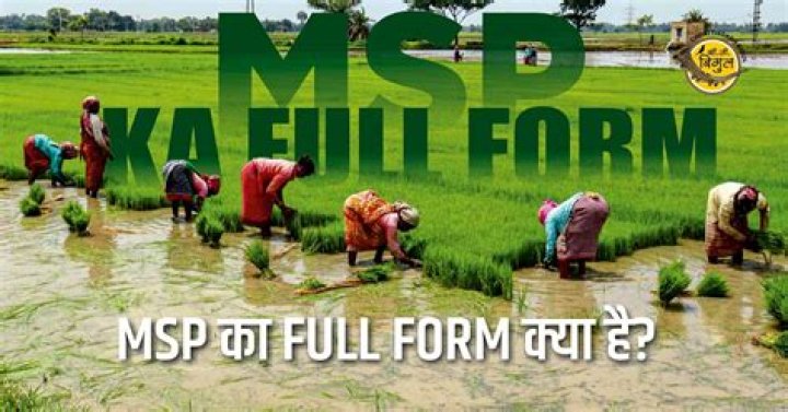 What is MSP full form?