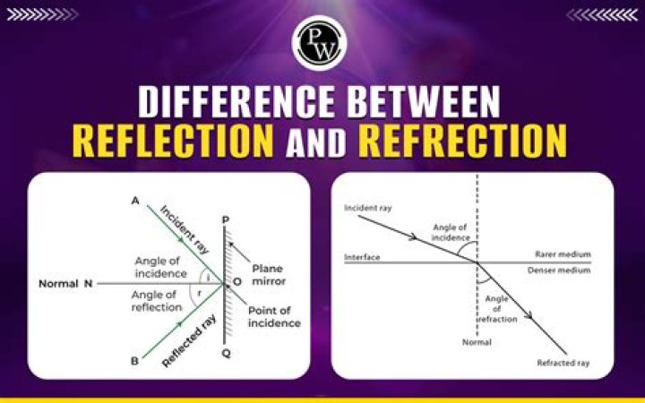 What is the difference between blitz and rapid?
