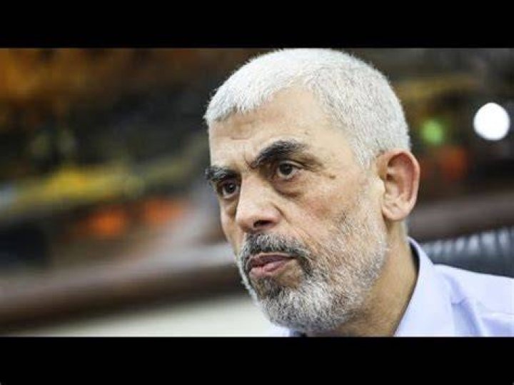 Yahya Bakkar Net Worth